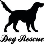 dog rescue